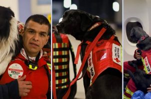 Binomio canino (perros y entrenadores). Foto: @m_ebrard