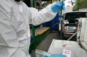 Se trata del segundo caso de hantavirus en la provincia de Herrera, luego que en el mes de enero se confirmara un contagio también en el distrito de Chitré. Foto. Archivo