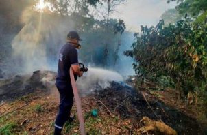 Desde el año 2020 al presente, se han producido 11 mil 493 eventos de quema de herbazales en Panamá.