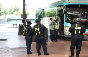 Los buses de la ruta Darién-Panamá prestan el servicio. Foto: ATTT