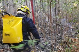 El incendio de masa vegetal, afectó cerca de 200 hectáreas de bosque en La Yeguada. Foto. Cuerpo de Bomberos.