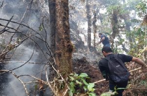 Este incendio ha causado graves daños al ecosistema, oficialmente se desconoce el total de hectáreas afectadas. Foto. José Vásquez