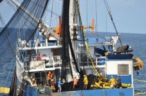 La Cámara Nacional de Pesca y Acuicultura de Panamá (CNPA) está en alerta. Foto: Cortesía
