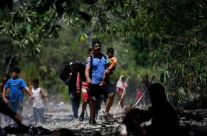 Grupos de personas migrantes caminan en la selva del Da