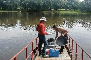 La pasada semana se tomaron muestras de agua para analizarlas y saber el grado de contaminación que pudiera tener. Foto. Thays Domínguez