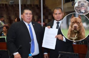 Abel Beker presentó este jueves el anteproyecto de ley que regula la tenencia de pitbulls en Panamá. Foto: Cortesía AN