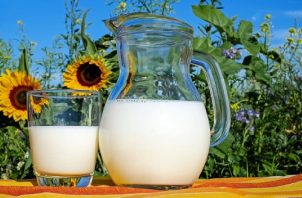 La leche es fuente de proteína.  Foto: Pixabay