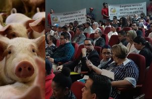 Representantes de Anapor y Anavip expresaron sus preocupaciones este miércoles en la Asamblea Nacional. Foto: Víctor Arosemena