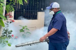 En el corregimiento de La Arena de Chitré, se registró un caso de dengue con signos de alarma, hubo varios operativos y se detectaron criaderos activos. Foto. T