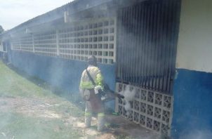Las autoridades mantienen las nebulizaciones para eliminar el mosquito adulto. Foto: Cortesía Minsa