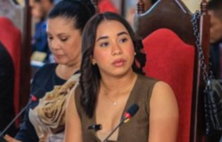 Barría fue atendida en el hospital Irma de Lourdes  Tzanetatos.  Internet