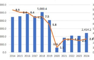 Evolución de la inversión extranjera en comparación con el PIB. Internet