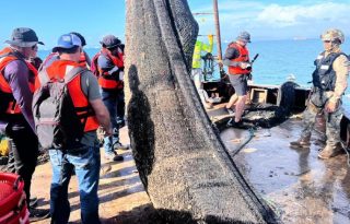 Inspección de un barco.  Cortesía