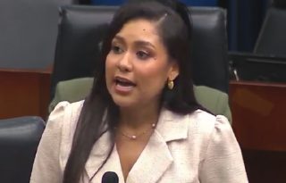 La diputada Yamireliz Chong sustentó la citación de Vamos. Internet
