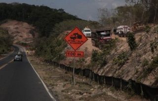 Los trabajos iniciales fueron criticados por la gran cantidad de árboles que fueron talados.  Archivo