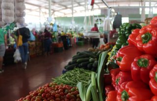 La canasta básica familiar cerró el año 2025 en $298.97 en supermercados de Panamá y San Miguelito.  Cortesía