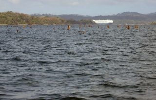 El Canal de Panamá requiere del agua para el consumo humano, en primer lugar, y para su operación Cortesía