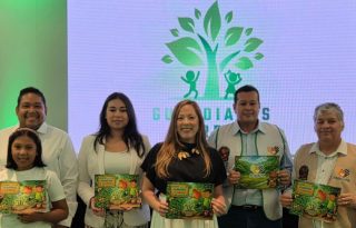 Lanzamiento de 