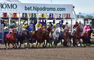 Más de 200 colores han tenido presencia en la pista este año. Foto:Omar Yerar Batista