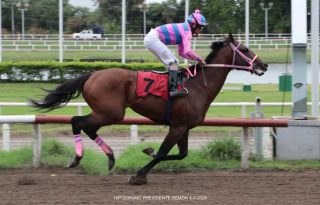 El caballo Takcorta expone su invicto en la jornada sabatina. Foto: Cortesía