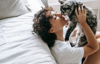 La figura del gato doméstico se ha convertido en un icono indispensable de la cultura de Internet y la vida cotidiana. Sam Lion / Pexels