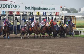 La carrera es una de las más esperada en el Hipódromo Presidente Remón. Foto: Boris Valdivieso. 