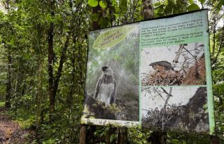 Parque Nacional de Darién, el más extenso del país.  Archivo