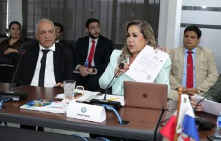 La presidenta del Legislativo argumentó que no quieren afectar la imagen de ese Órgano del Estado por lo que piden ese recurso.  Cortesía