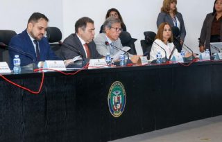 La sesión se dilató para, finalmente, prohijar un anteproyecto de la diputada Yamireliz Chong.  Cortesía
