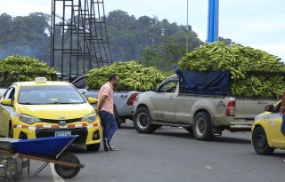 Vehículos cargados de bananos en medio del bloqueo de una carretera en Bocas del Toro. Foto: EFE
