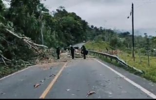 Para poder despejar las calles han tenido que quitar árboles, ramas, troncos y hasta postes del tendido eléctrico. Foto. Policía Nacional