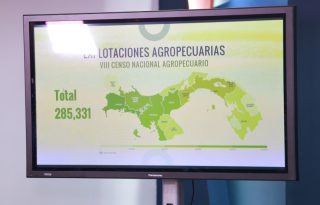 Estadísticas del censo: Foto: Cortesía.  