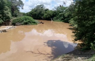 Inspecciones recientes realizadas por personal técnico de la entidad determinaron que el afluente muestra señales claras de recuperación. Foto. Thays Dominguez