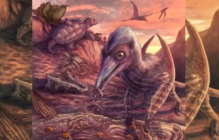Una reconstrucción artística del paisaje fosilizado, las plantas y los animales encontrados en un yacimiento del Parque Nacional del Bosque Petrificado, en Arizona.  Ilustración: Brian Engh