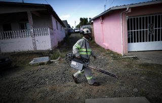 La co-circulación de los cuatro serotipos de dengue en Panamá aumenta la ocurrencia de casos graves. Foto: EFE/ Bienvenido Velasco