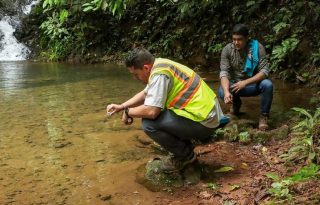 Existen cinco expedientes adicionales en investigación, entre ellos a Finca Luis Martínez; Central de Engorde, S.A.; Porcinalanda, S.A.; Lechería Medrano; Finca Porcina Nobel Samaniego; y Lechería Barría. Foto. Thays Domínguez