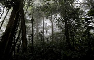 Parque Nacional Campana. Foto: Cortesía