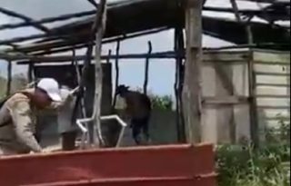Además, se informó que las casas fueron construidas con madera de pino, lo que indica que han talado ilegalmente los árboles del área protegida. Foto. MiAmbiente