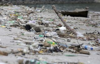 Plásticos acumulados en la Cinta Costera del 05 de agosto de 2025 en la bahía de Ciudad de Panamá (Panamá). EFE/ Carlos Lemos