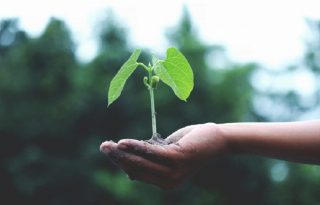 El cambio climático plantea desafíos cada vez más complejos para las empresas y la sociedad. Foto: Cortesía