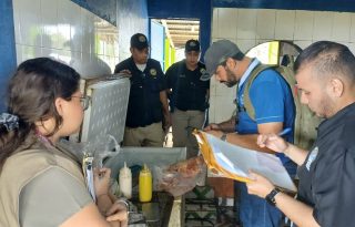 El pasado 15 de octubre, la Sección Primera de Delitos contra el Patrimonio Económico había realizado la “Operación Holstein 1”, la cual abarcó 17 puntos de la provincia de Panamá Oeste. Foto. Eric Montenegro