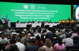 Primera sesión del Órgano Subsidiario sobre el Artículo 8(j) del Convenio sobre la Diversidad Biológica (CDB). Foto: EFE