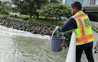 Durante la inspección. Foto: MiAmbiente