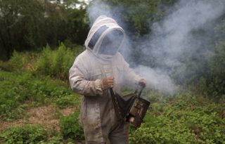 Una integrante de la Asociación de Mujeres Amantes del Manglar (Amuram) preparando un ahumador para inspeccionar paneles de abejas, en el corregimiento París (Panamá). EFE/ Bienvenido Velasco