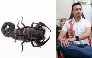 De acuerdo con Salazar, el antiveneno desarrollado por la UP contribuirá a que este problema de salud pública disminuya. Foto: Cortesía/UP