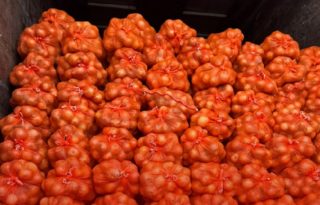 Ante la falta de sustentos, el personal procedió a retener el cargamento y trasladarlo a las instalaciones de Aduanas en David. Foto. Aduanas