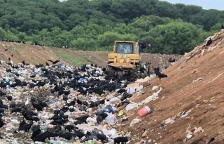 Vertedero en Azuero. Foto: Thays Domínguez
