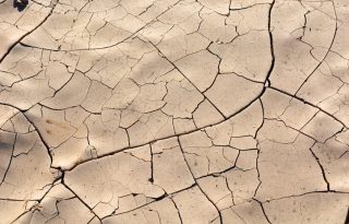 Las graves sequías y la pérdida de tierras fértiles ya están afectando a la producción de alimentos y energía, según especialista. Foto: Ilustrativa/Pexels