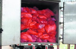 La ejecución de este servicio  garantiza el manejo seguro de los desechos. Foto: Cortesía