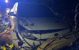 Cayeron varios árboles en la vía. Foto: Diomedes Sánchez